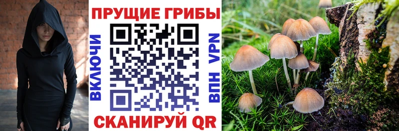 Галлюциногенные грибы мухоморы  Купить закладки  Ангарск 